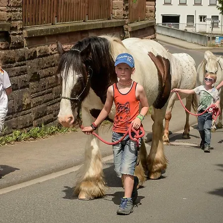 Apartment Nengshof Ferienwohnung Rauchschwalbe Wissmannsdorf