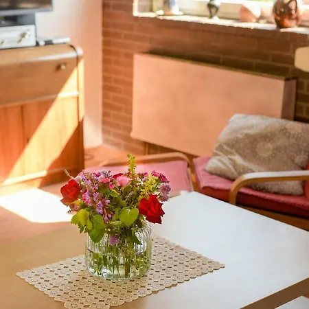 Apartment Nengshof Ferienwohnung Rauchschwalbe *